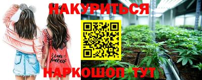 гашик Славянск-на-Кубани