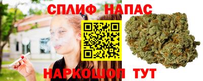 шишки Сланцы