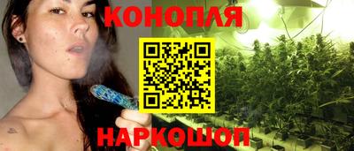 гашик Славянск-на-Кубани