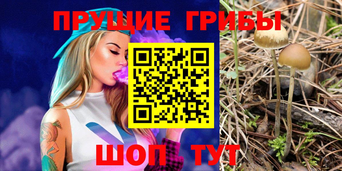 Псилоцибиновые грибы мицелий  Галлюциногенные грибы MAGIC MUSHROOMS  Сибай  Вход с VPN 