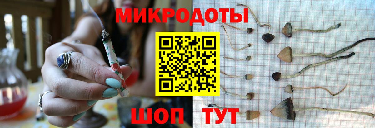 Псилоцибиновые грибы Cubensis Сибай